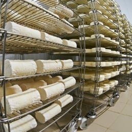 Fromagex Website assets (7)