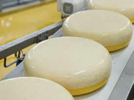 CoatedCheeses