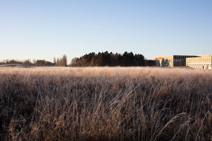 Novonesis_HQ_mark_view